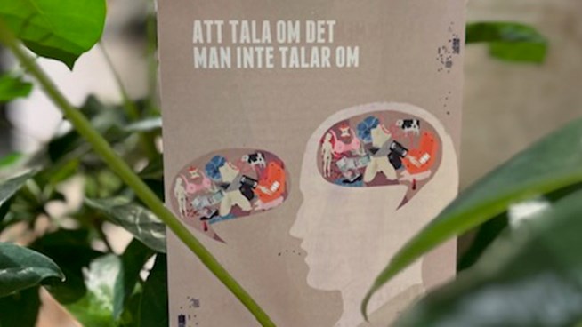 bild på hjärna