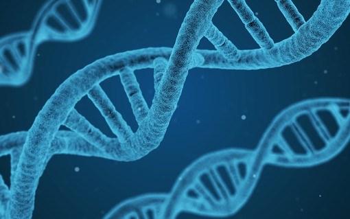 DNA