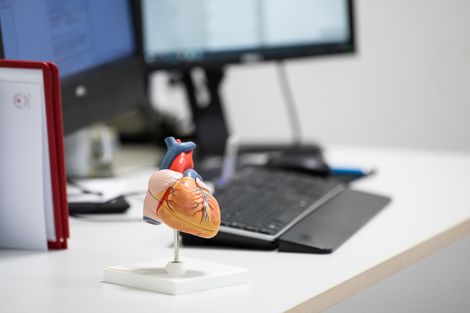 Modell av ett anatomiskt hjärta står på ett skrivbord