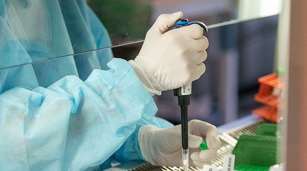 Medarbetare på laboratoriet som arbetar med provrör i säkerhetsbänk