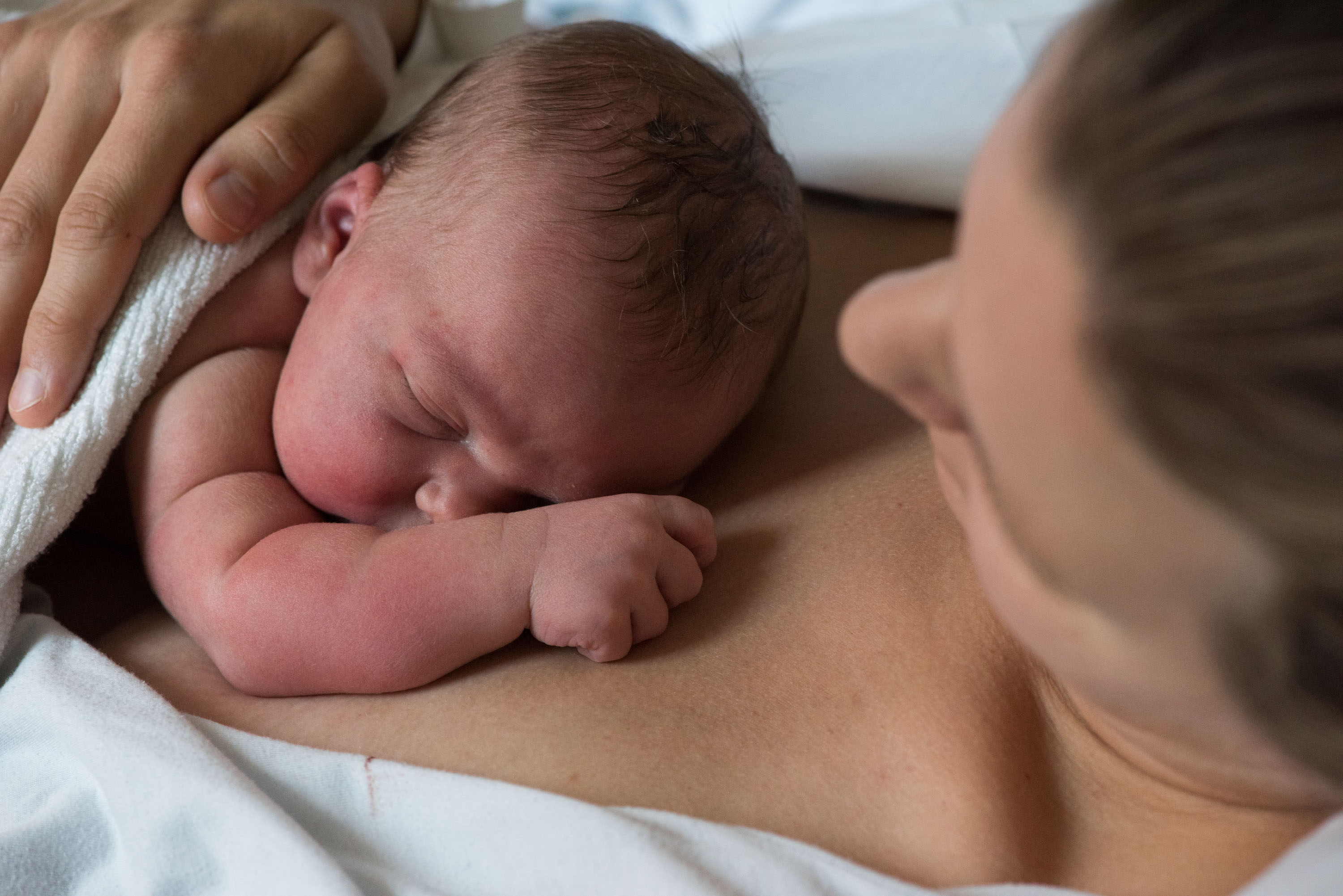 Ett nyfött barn ligger mot mammans nakna bröstkorg. Foto:Oscar Segerström