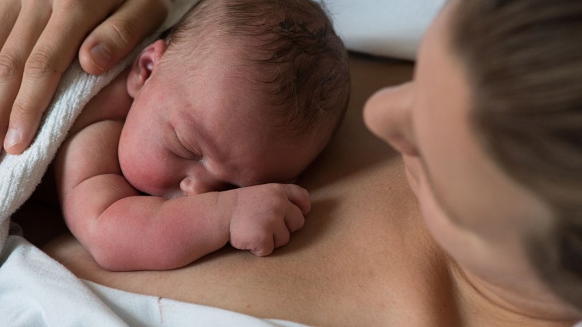 Ett nyfött barn ligger mot mammans nakna bröstkorg. Foto:Oscar Segerström