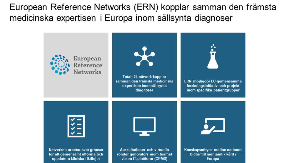 Faktaruta med information om ERN-nätverket.