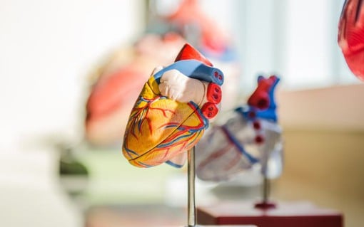 En färgglad modell av ett hjärta.