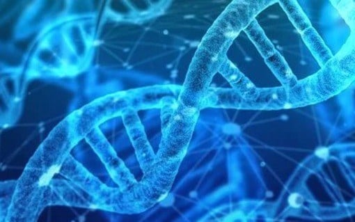 DNA sträng