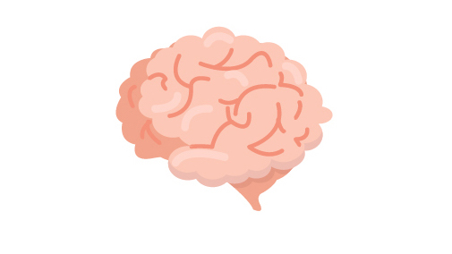 hjärna