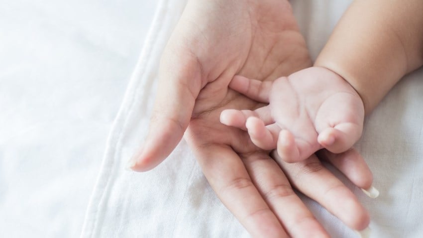 Asian parent hands holding newborn baby fingers, Close up mother’s hand holding their new born baby. Love family healthcare and medical body part concept Asian parent hands holding newborn baby fingers, Close up motherâ€™s hand holding their new born baby. Love family healthcare and medical body part concept Asian parent hands holding newborn baby fingers, Close up mother’s hand holding their new born baby. Love family healthcare and medical body part concept
