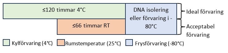 Hållbarhet provtagning HMW DNA.jpg