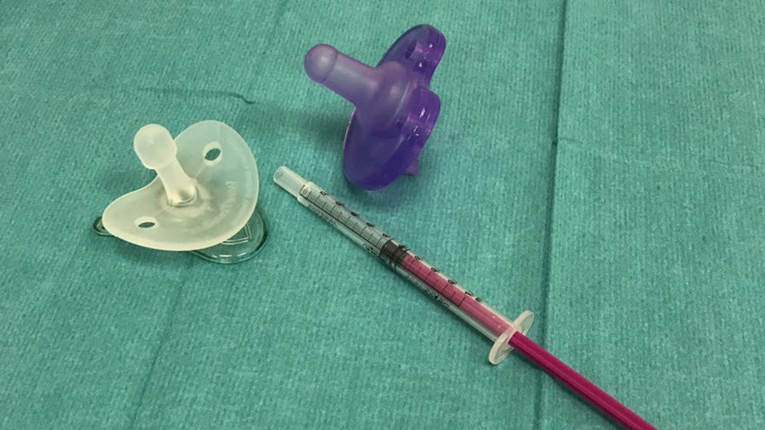 oral feeding equipment
