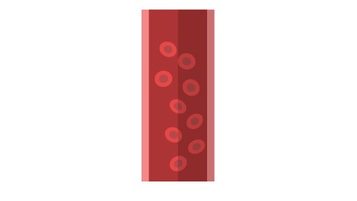 blood vessel