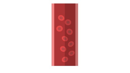 blood vessel