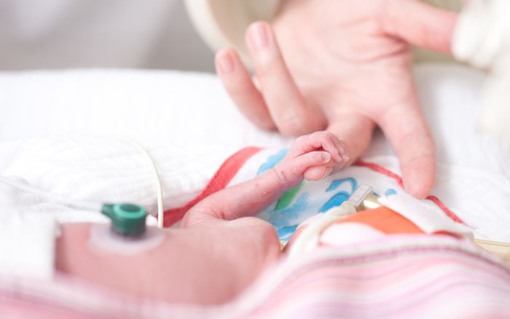 Bilden visar ett nyfött barn som ligger vänt från kameran, vilandes i på en bädd. Barnets hand håller i en mittenfingret på en vuxens hand.