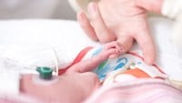 Bilden visar ett nyfött barn som ligger vänt från kameran, vilandes i på en bädd. Barnets hand håller i en mittenfingret på en vuxens hand.