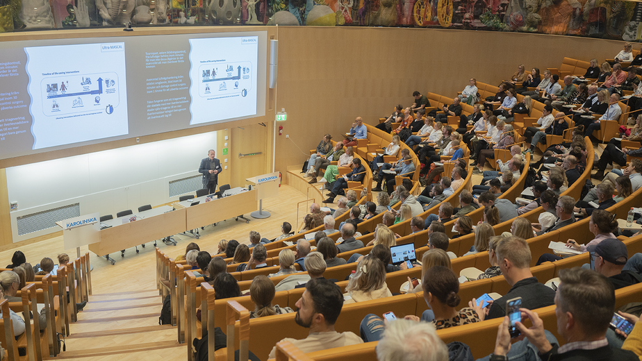 Experter talar inför en fullsatt aula