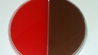 BLOD/Hematinagar