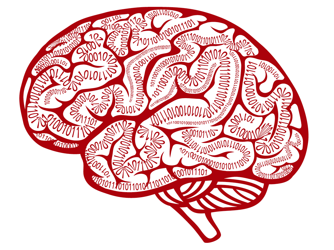 Bilden visar en teckning av en hjärna