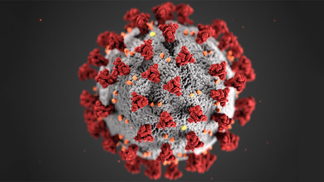 Illustrerat coronavirus