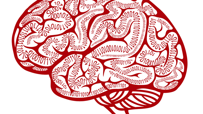 A brain