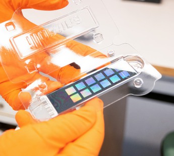 Genotypningschip som kan användas för att analysera om IVF-embryon bär/inte bär på samma genetiska sjukdom som föräldrarna