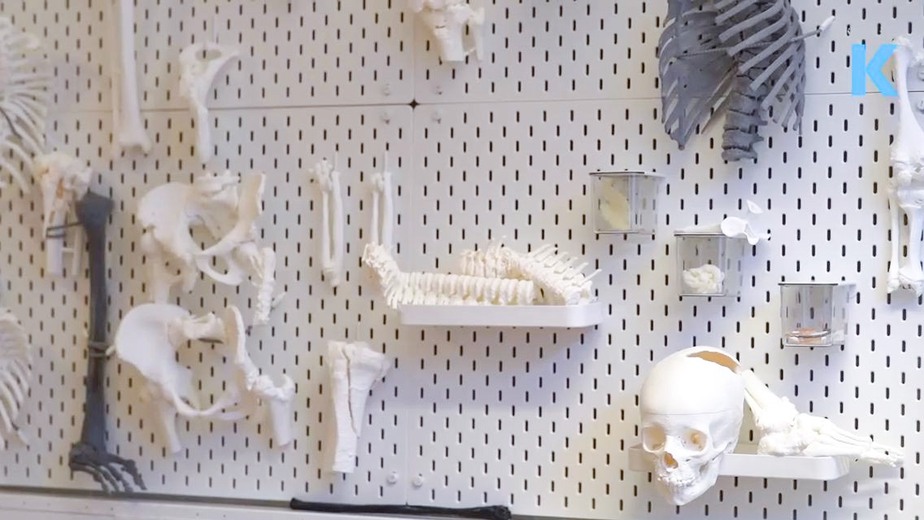 Skelettdelar utskrivna med 3D-skrivare i vit plast